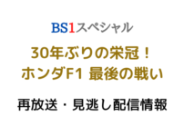 BS1スペシャル「ホンダF1最後の戦い」テキスト,画像